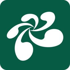 云屋小班课软件