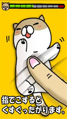 搔痒猫 搔痒猫