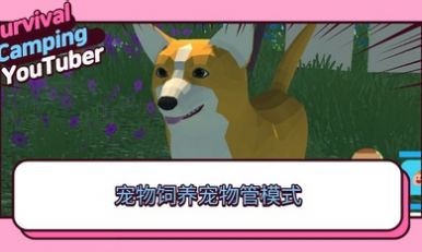 生存露营直播 汉化版