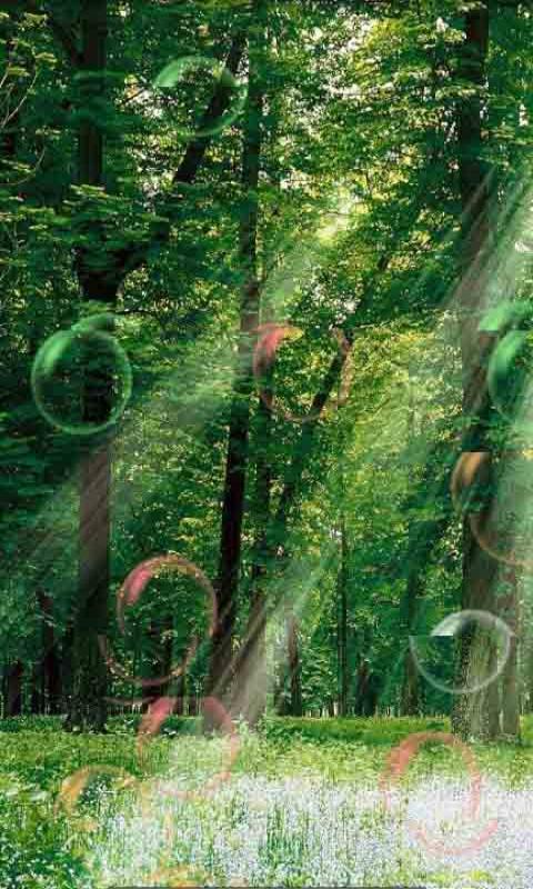 泡泡动态壁纸软件 泡泡动态壁纸软件