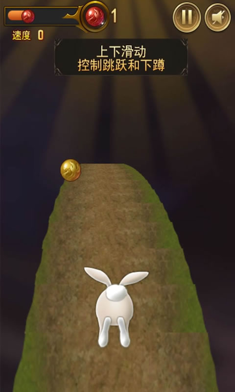 闪电兔快跑