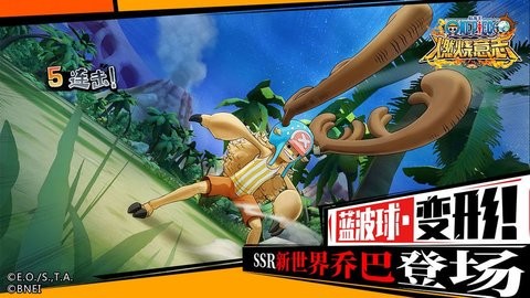 海贼王3d单机游戏