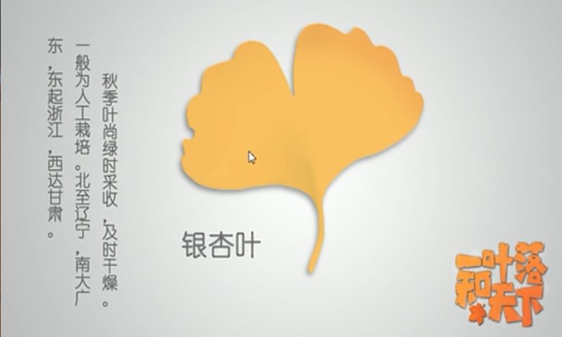 一叶落知天下
