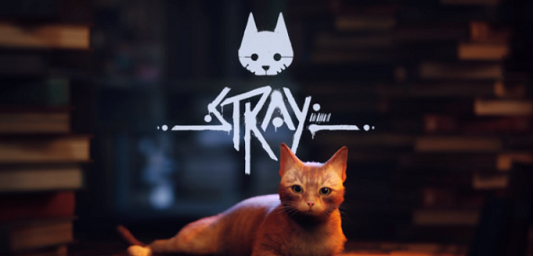 迷失Stray