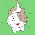 子猫はどこに行った？