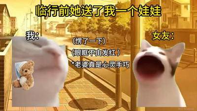 猫meme搞怪冒险