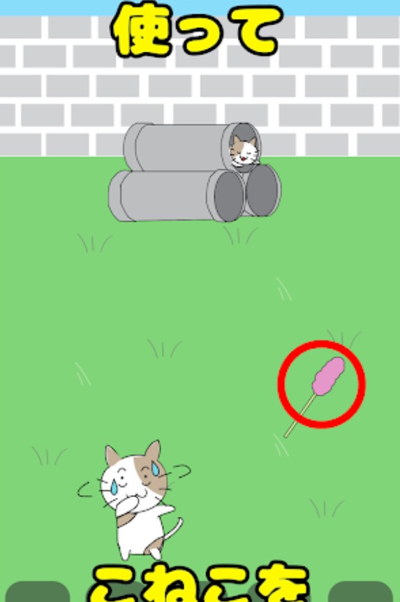 子猫はどこに行った?