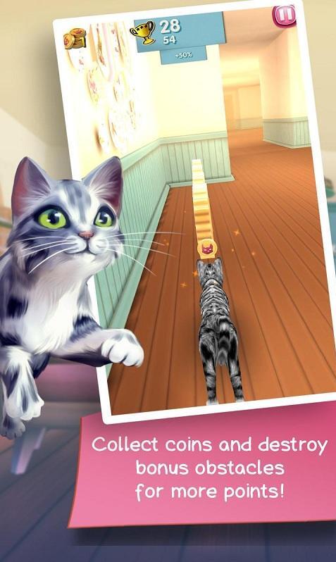 小猫快跑