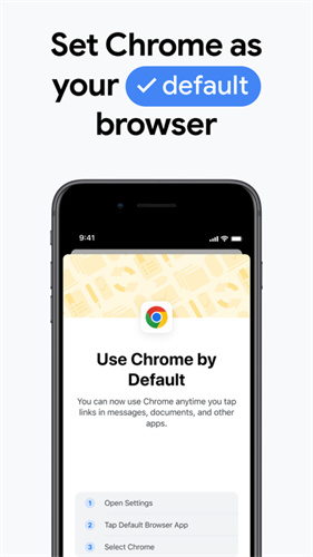 Chrome浏览器 纯净版