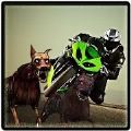 Zombie Highway : Bike Driver