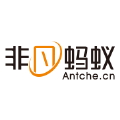非凡蚂蚁