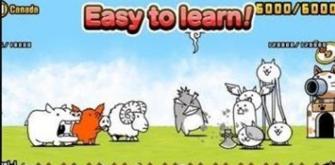 猫猫战队