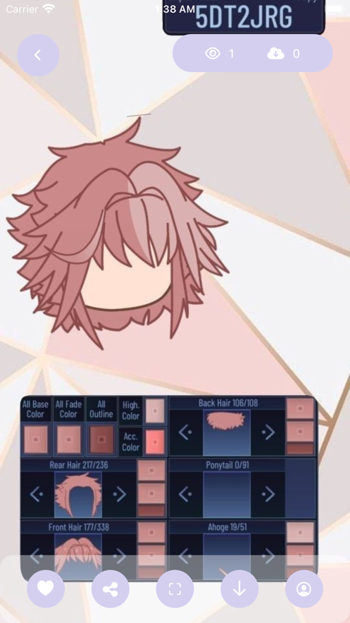 加查之花 正版