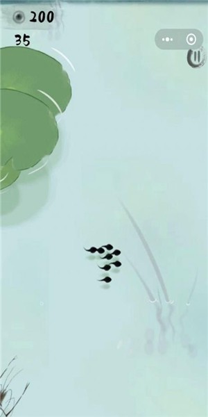 墨虾探蝌