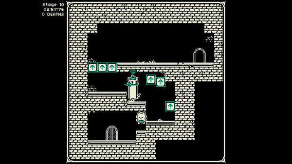 蛙公主和猫骑士