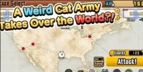 猫猫战队
