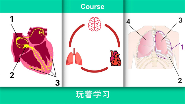 真实医疗模拟器中文版无限金币版