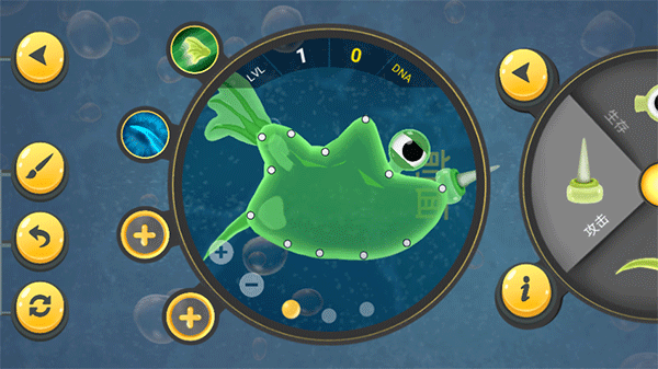 孢子进化：微生物世界