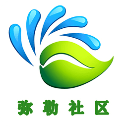 掌上弥勒 掌上弥勒