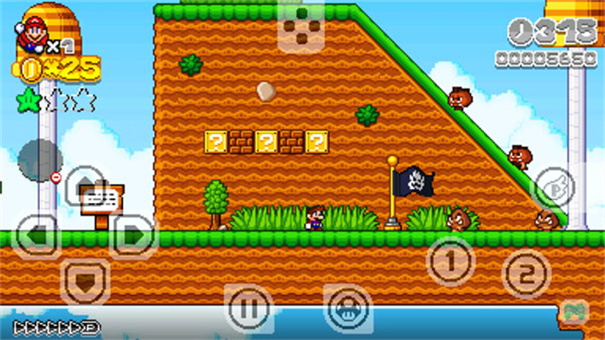 超级马里奥2D世界 超级马里奥2D世界