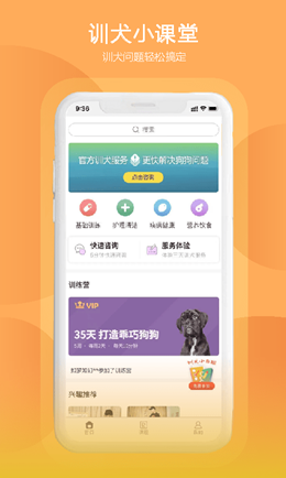 狗狗研究社
