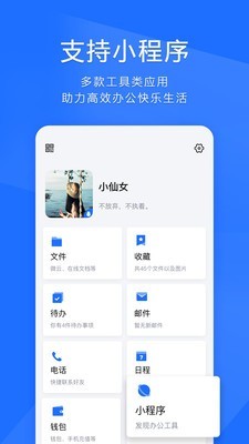 TIM简约主题