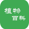 动物世界