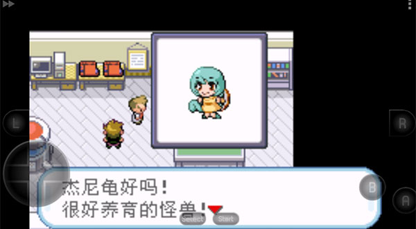 口袋妖怪黑白汉化版