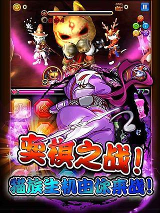 萌猫大作战 萌猫大作战