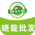 晓能批发客户端