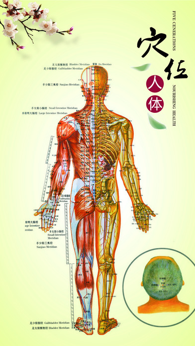 中医按摩宝典大全 中医按摩宝典大全