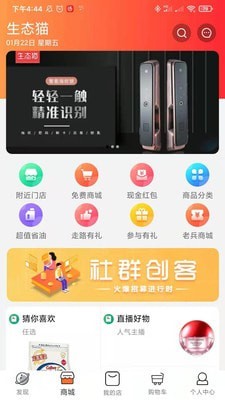生态猫 生态猫
