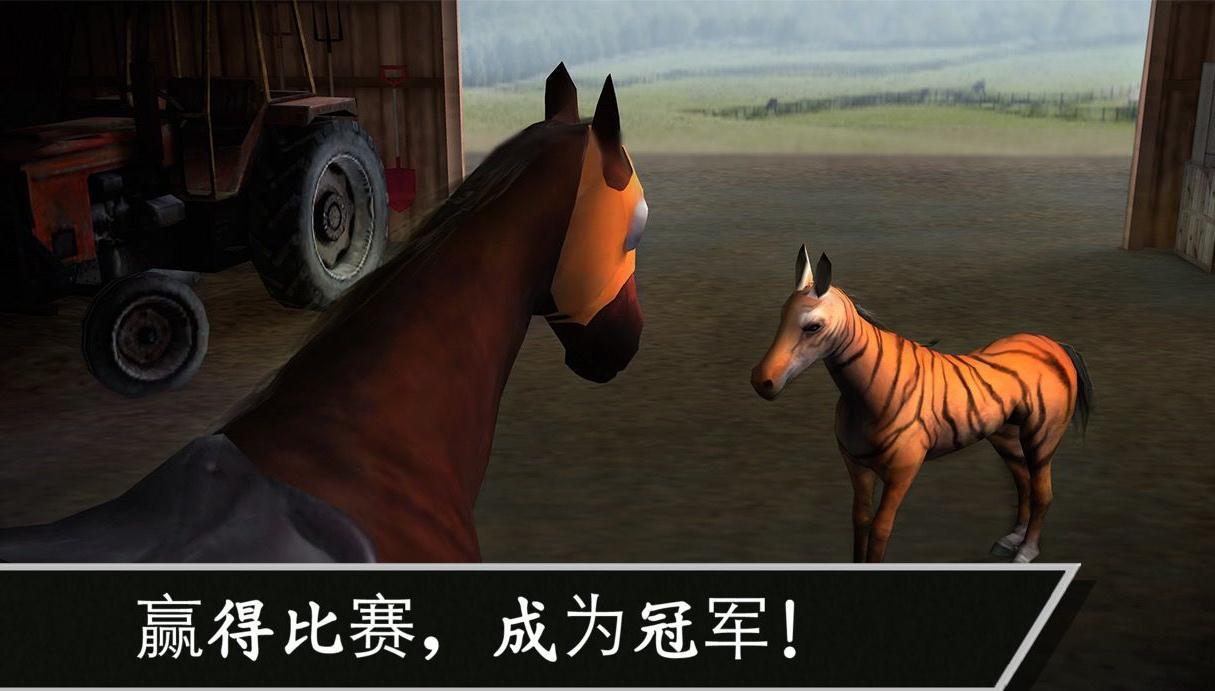 赛马赢得杯赛挑战