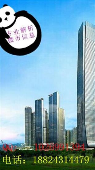 楼市专家