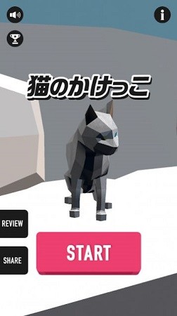 猫のかけっこ