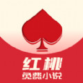 红桃小说