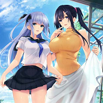 水 莲 与 紫 苑