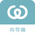丸子向导端