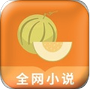  甜瓜小说 