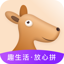 趣拼乐购
