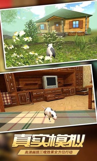 Mouse Simulator 2019