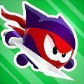 Ninja Cat Assassin