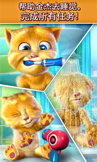 Talking Ginger