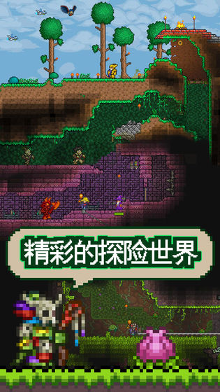 泰拉酒馆