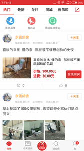 搜鸽天下-赛鸽头条重磅升级