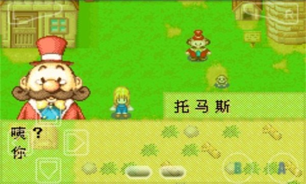 牧场物语-女孩版