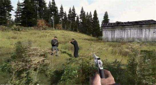 DAYZ手 机 版