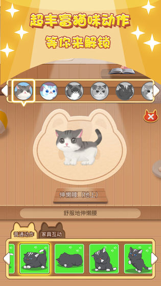 撸猫日记 撸猫日记