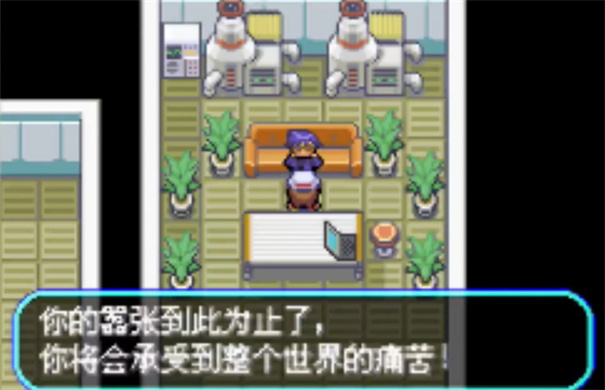 口袋妖怪：口袋暴龙修复版