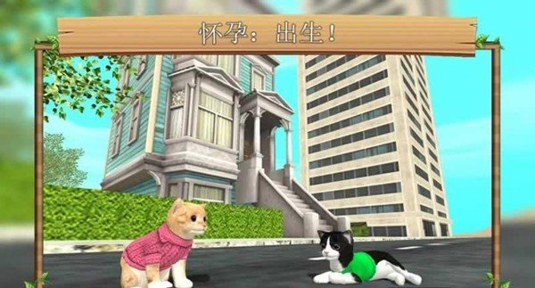 猫咪生存探险